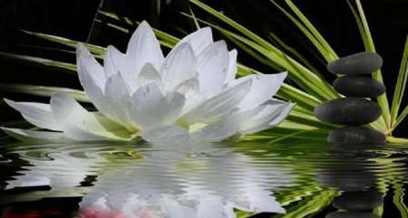 Photo ads/1056000/1056822/a1056822.jpg : Zen attitude détente et relaxation