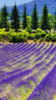 Photo ads/1285000/1285440/a1285440.jpg :  Hon cherche jf pour moment en lieux insolite ou au