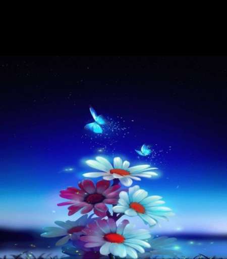Photo ads/1694000/1694026/a1694026.jpg : Aide a domicile