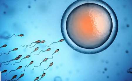 Photo ads/1730000/1730408/a1730408.jpg : Dont de sperme ( QI DE 135) bonne capacité mentale