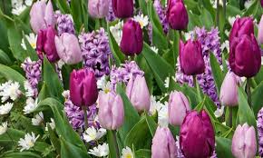 Photo ads/1736000/1736187/a1736187.jpg : LE MASSAGE = LA CLE DU BIEN-ETRE