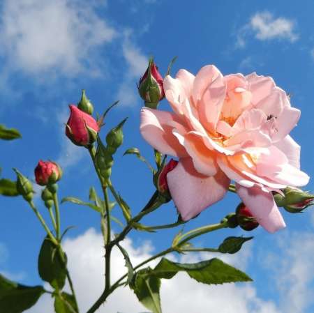 Photo ads/1741000/1741858/a1741858.jpg : Sandra 25