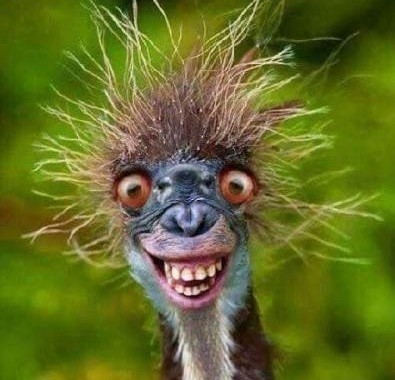 Photo ads/1776000/1776537/a1776537.jpg : homme mure pour femme