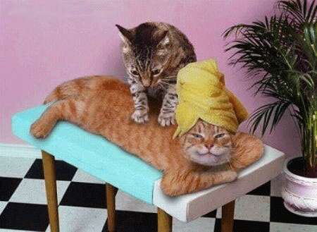 Photo ads/1796000/1796866/a1796866.gif : Massage a domicile