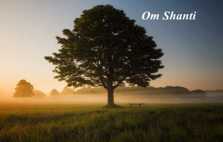 Photo ads/1865000/1865976/a1865976.jpg : Soin Massage Ayurvédique