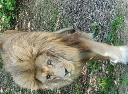 Photo ads/1873000/1873310/a1873310.jpg : Cherche plan cul sans prise de tête