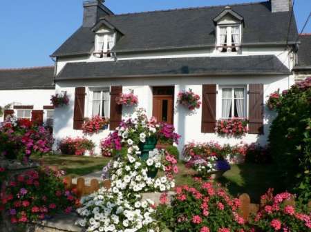Photo ads/1875000/1875063/a1875063.jpg : Le Grand Hortensia centre Finistère Pleyben