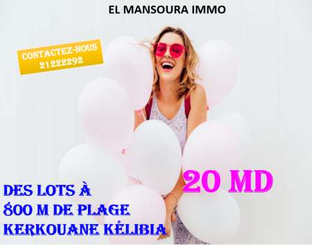 Photo ads/1893000/1893432/a1893432.png : Des terrains a vendre à kerkouane kélibia 29711072