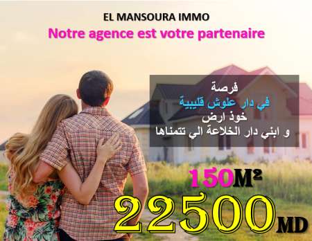 Photo ads/1942000/1942776/a1942776.png : des lots de terrain avec vu paradisiaque