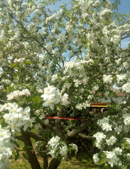 Photo ads/1948000/1948510/a1948510.jpg : DVD ADULTES