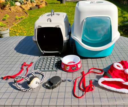 Photo ads/1953000/1953677/a1953677.jpg : Kit pour chat