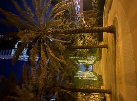Photo ads/1989000/1989541/a1989541.jpg : Cherche escorts Marrakech