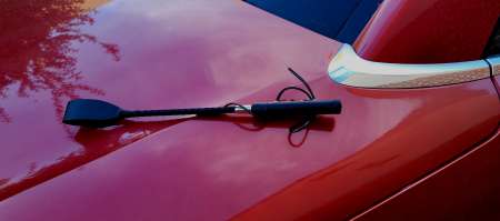 Photo ads/1994000/1994299/a1994299.jpg :  MAITRE CHERCHE SA soumise