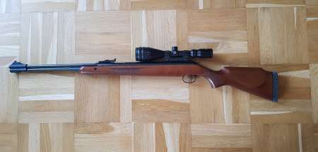 Carabine a plomb460 magnum