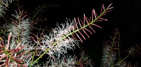 Photo ads/2013000/2013240/a2013240.jpg : Homme doux recherche couple