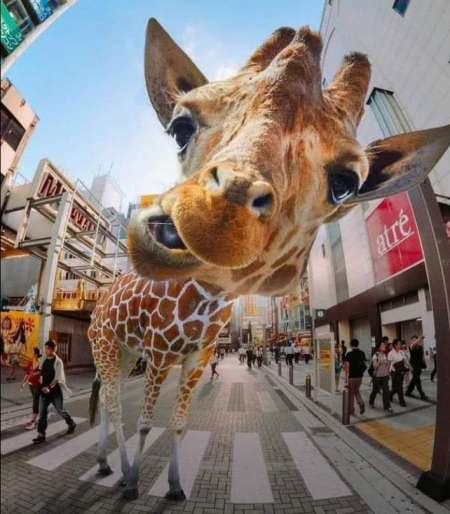 Photo ads/2013000/2013257/a2013257.jpg : Plan