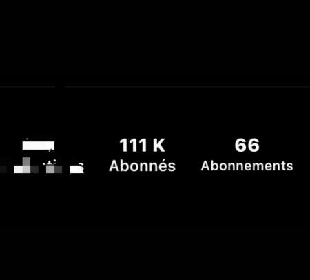 Photo ads/2015000/2015336/a2015336.jpg : Page Instagram a vendre