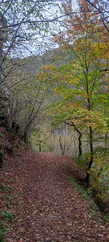 Photo ads/2054000/2054925/a2054925.jpg : Plaisir de la vie