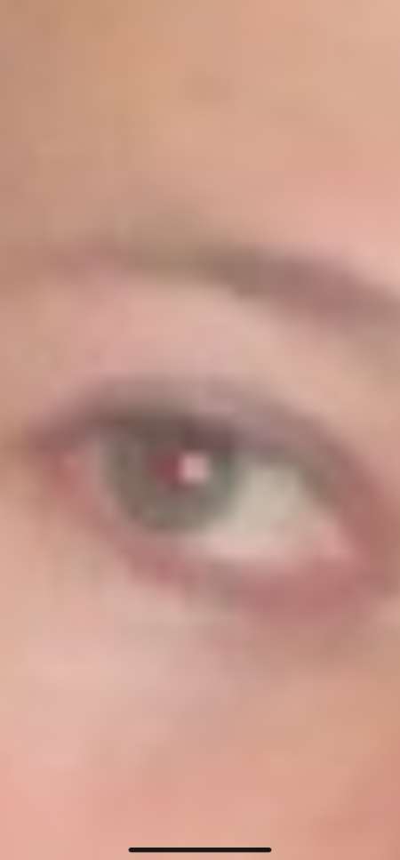 Photo ads/2093000/2093336/a2093336.png : Sans lendemain