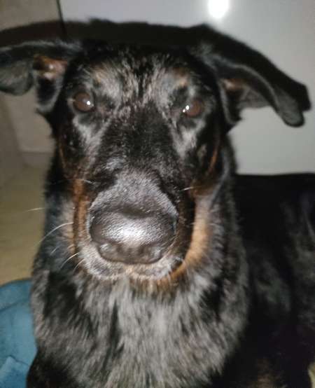 Photo ads/2093000/2093977/a2093977.jpg : Jeune de 18 ans cherche femme de 30-55 ans