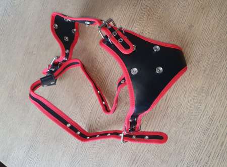 Photo ads/2120000/2120958/a2120958.jpg : Cherche femme enculeuse.