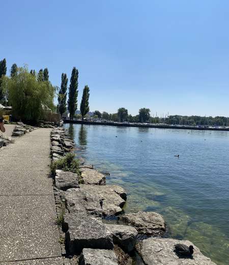 Photo ads/2136000/2136152/a2136152.jpg :  Homme Mediteranneen pour jeune femme