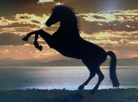 Photo ads/2144000/2144326/a2144326.jpg :  Amitié en toute discretion