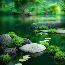 Photo ads/2168000/2168388/a2168388.jpg : ...