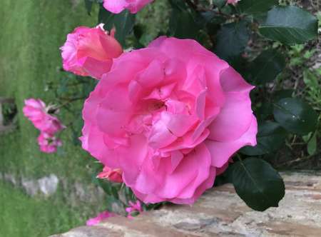 Photo ads/2197000/2197953/a2197953.jpg : Envie dune beurette voilée ou pas