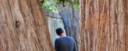 Photo ads/2198000/2198893/a2198893.jpg : petit travaux