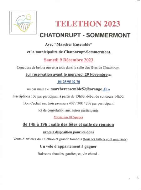 Photo ads/2220000/2220584/a2220584.jpg : concours de belote au profit du téléthon