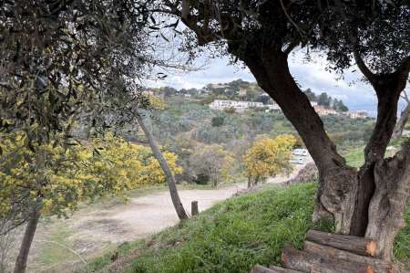 Photo ads/2233000/2233385/a2233385.jpg : Propose moment détente pour femmes