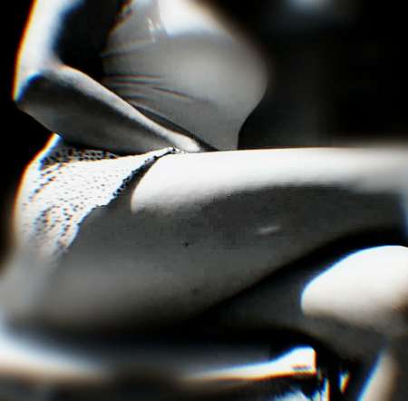 Photo ads/2241000/2241583/a2241583.jpg : Rencontre et cherche modèles féminin