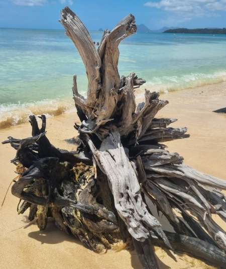 Photo ads/2255000/2255982/a2255982.jpg : Rencontre éphémère pour femme ou couple