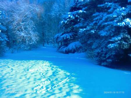 Photo ads/2260000/2260350/a2260350.jpg : Femmes ou couple mari candauliste