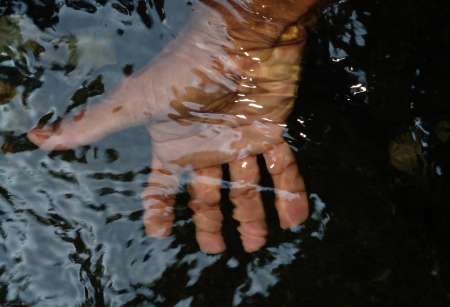 Photo ads/2263000/2263438/a2263438.jpg :  MASSAGE EROTICOSENSUEL BODY BODY