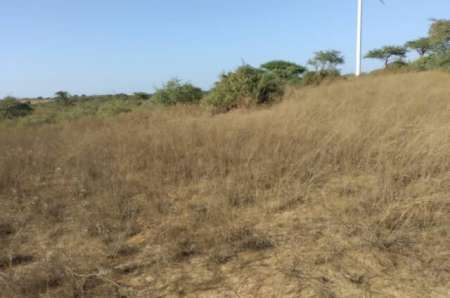 Photo ads/2264000/2264271/a2264271.jpg : Terrain agricole de 9 m² à Taiba Ndiaye