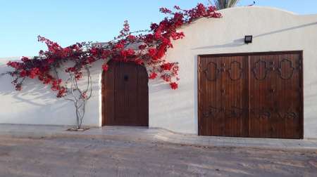 Photo ads/2271000/2271903/a2271903.jpg : Location saisonnière d'une belle villa à Djerba