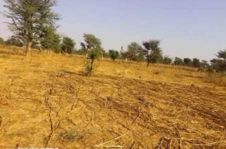 Photo ads/2274000/2274008/a2274008.jpg : Terrain Agricole de 1,5 ha à Notto Diobass