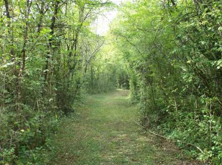 Photo ads/2281000/2281904/a2281904.jpg : Cherche maris prêteur en lieux discret