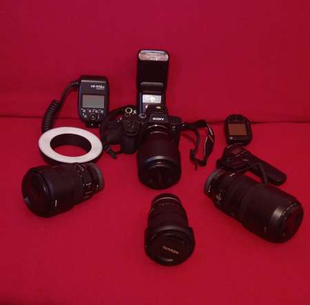 Photo ads/2282000/2282729/a2282729.jpg : Photographe amateur pour femme, couple...