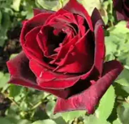 Photo ads/2292000/2292228/a2292228.png : Massage bien etre relaxation