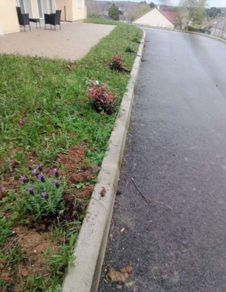 Photo ads/2303000/2303402/a2303402.jpg : Homme multiservices