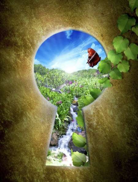 Photo ads/2308000/2308456/a2308456.jpg :  Voir et être vu