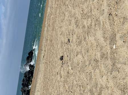 Photo ads/2309000/2309886/a2309886.jpg :  Homme disponible à découvrir