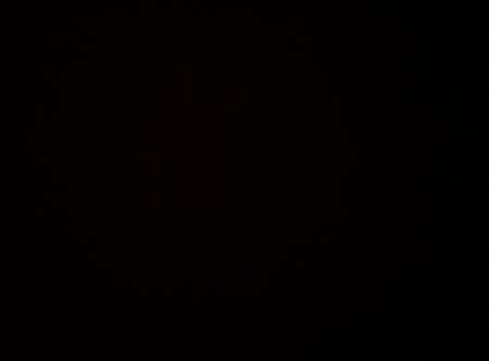 Photo ads/2310000/2310136/a2310136.jpg : Dominateurs