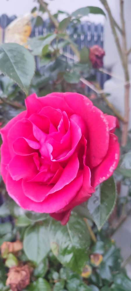 Photo ads/2317000/2317359/a2317359.jpg : ESCAPADE ET EVASION POUR VOUS MADAME