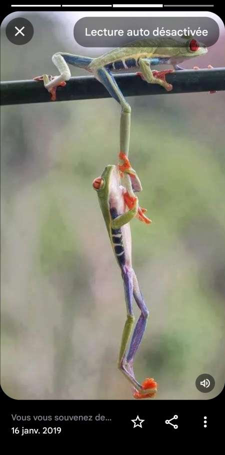 Photo ads/2320000/2320882/a2320882.jpg : H.recherche jf.f. aux desirs intimistes