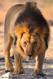 Photo ads/2322000/2322800/a2322800.jpg : Cherche métro entre 18 et 30ans