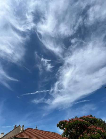 Photo ads/2323000/2323878/a2323878.jpg :  Hommes cherche transexuel ou travesti actifs